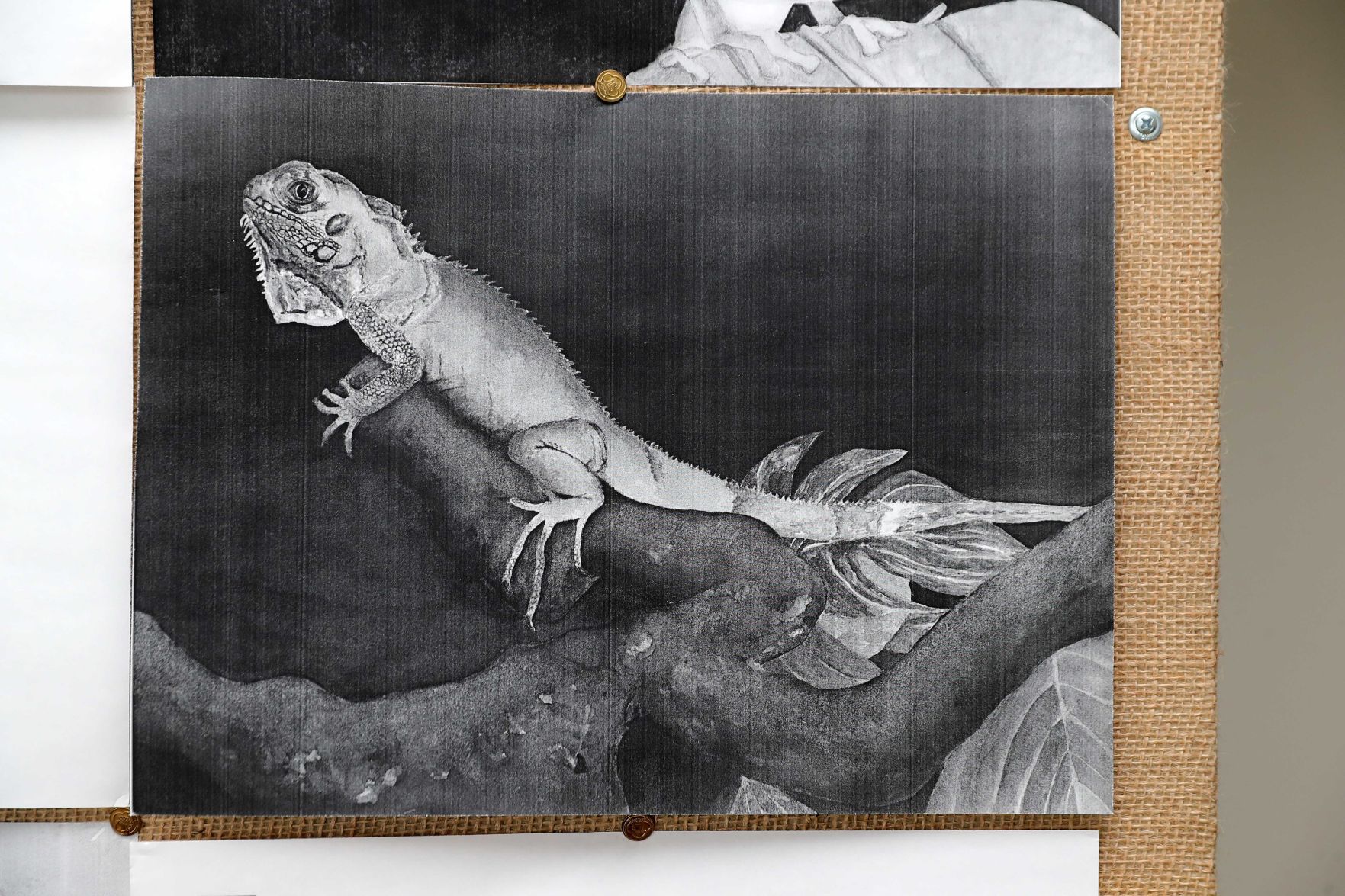 My Happy Place: Artist Stephanie Segal Miller